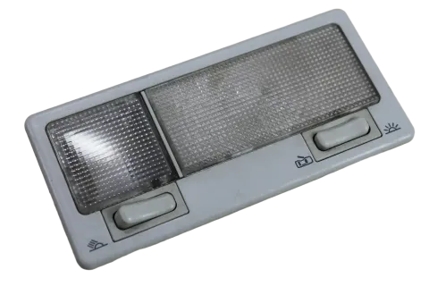 Article PZYV