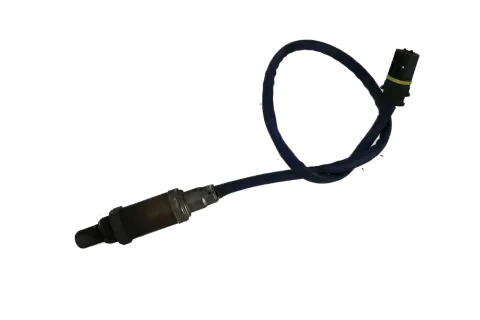 Article 6QM5