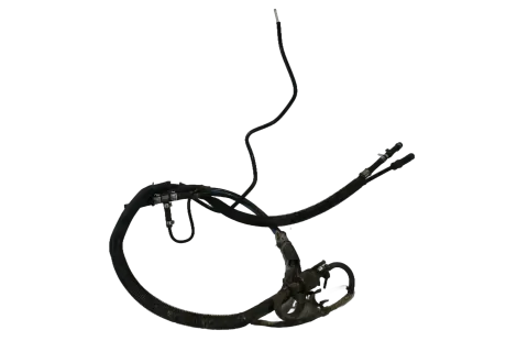 Article 59Z6