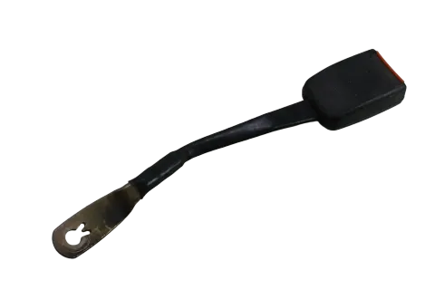 Article 4XA