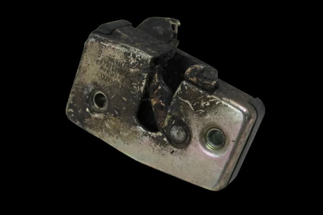 Article P556