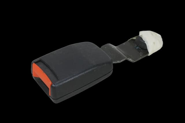 Article Z5VX
